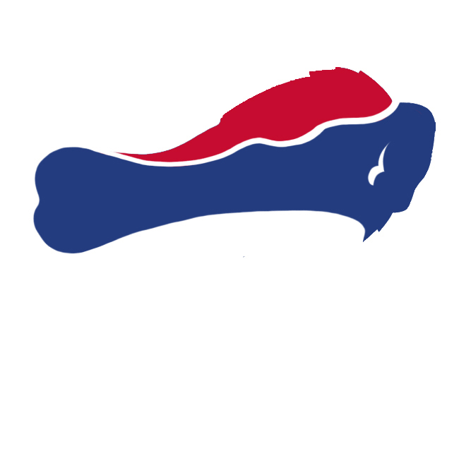 Buffalo Bills Wings Logo DIY iron on transfer (heat transfer)